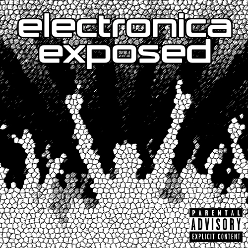 Electronica Exposed